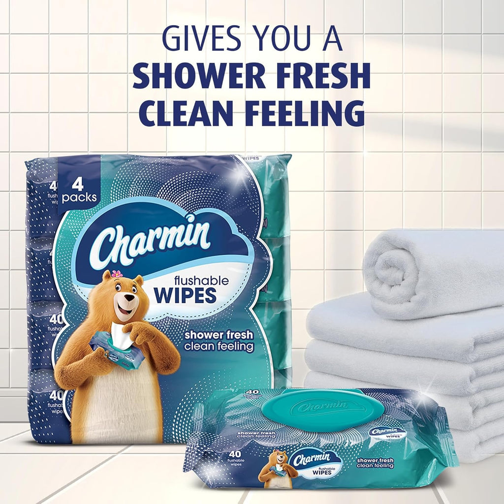 12 Packs of 40, Charmin Flushable Wipes, Total 480 Wipes, (Sold as 12 Pack)